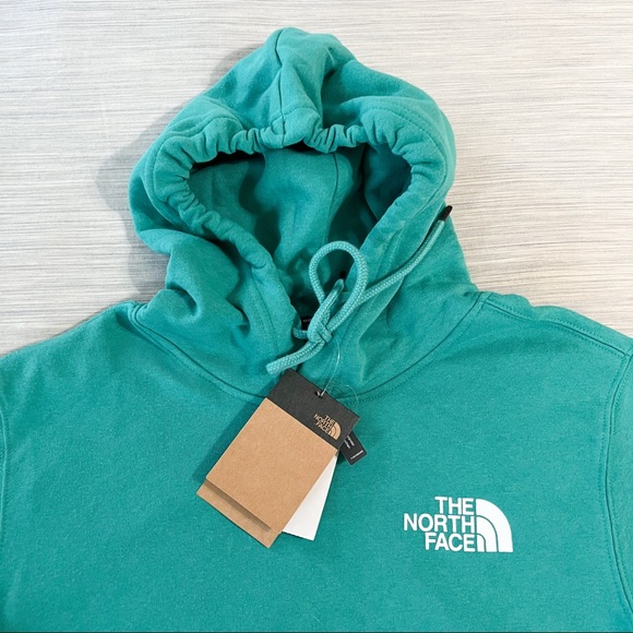 The North Face Green Recycled Box NSE Hoodie Porcelain Green - Picture 6 of 14